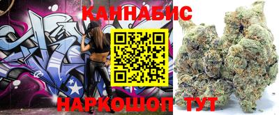 мдпв Ставрополь