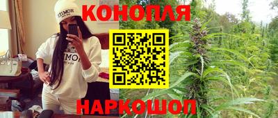 мдпв Ставрополь