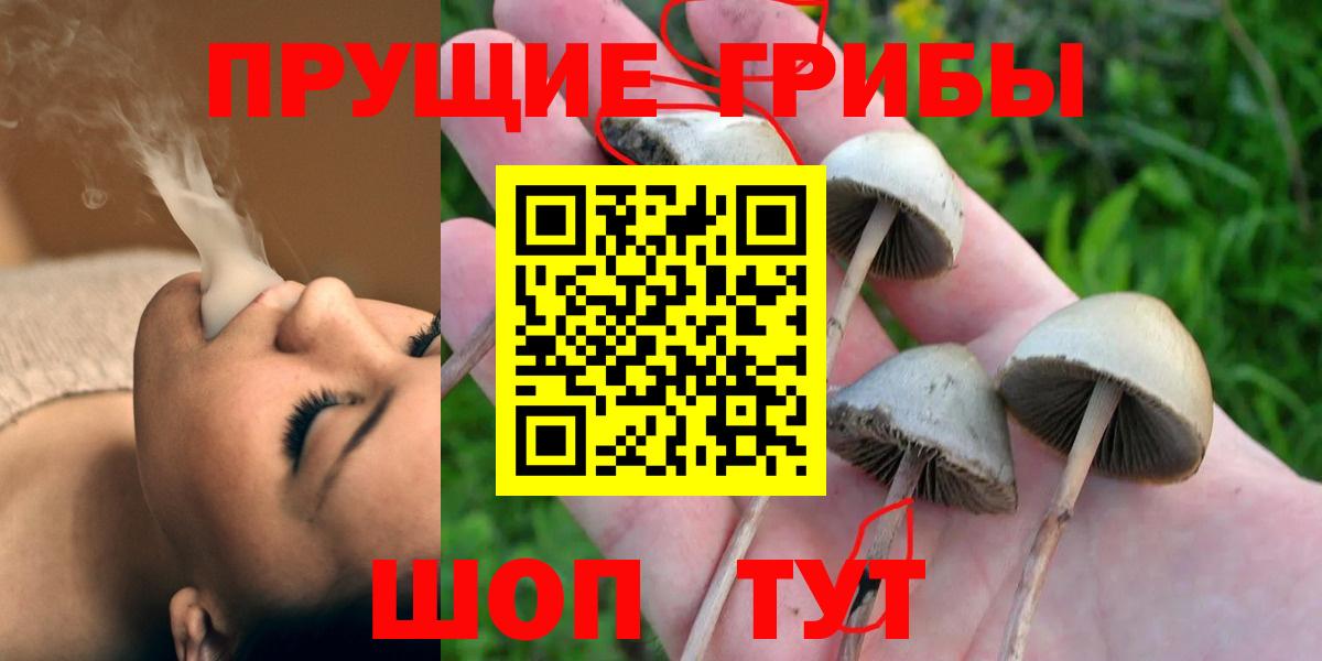 Оренбург  Галлюциногенные грибы Magic Shrooms  Вход с VPN 